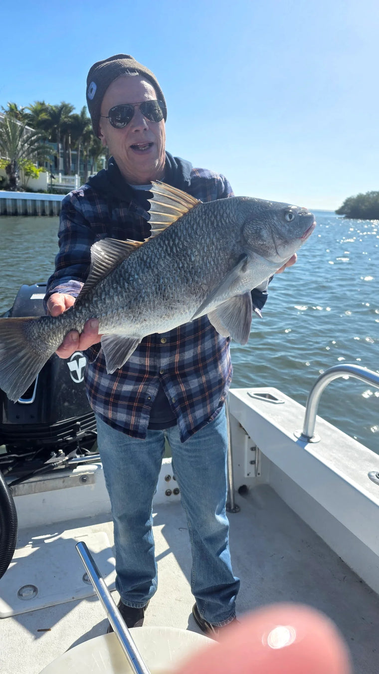 Sarasota fishing gallery catch photo