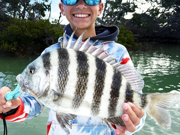 Private fishing charter catch in Sarasota