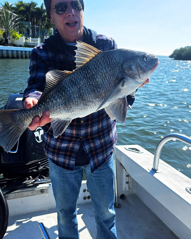Sarasota fishing gallery catch photo