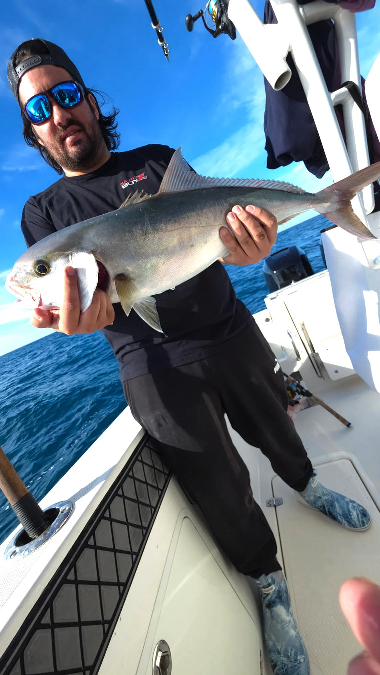 Offshore fishing charter catch near Sarasota