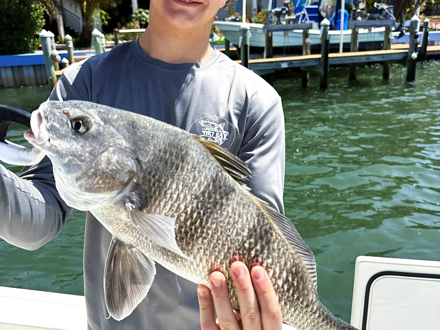 Male angler holding a fish on a Siesta Key fishing trip